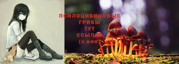 скорость Горнозаводск