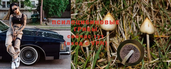 скорость Горнозаводск