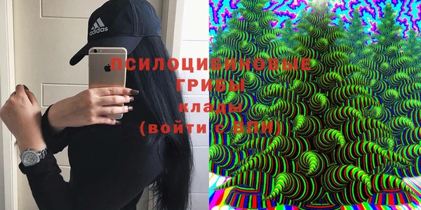скорость Горнозаводск
