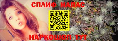 ПСИЛОЦИБИНОВЫЕ ГРИБЫ Донской