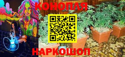 спайс Дубна