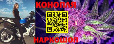 спайс Дубна