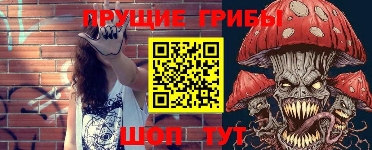 Псилоцибиновые грибы Psilocybine cubensis Муром